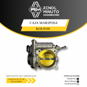 Caja Mariposa Koleos