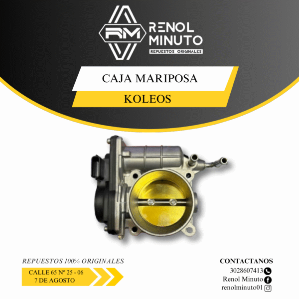 Caja Mariposa Koleos